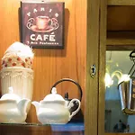 B&B Domo Togan