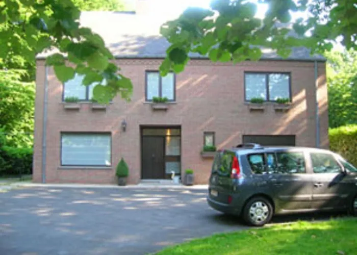 B&B Domo Togan